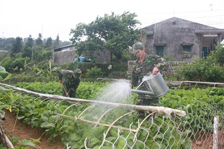 Xanh - sạch - đẹp ở Đồn BP Dào San
