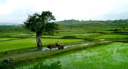 Những cảnh phim đẹp quảng bá du lịch Việt ra thế giới