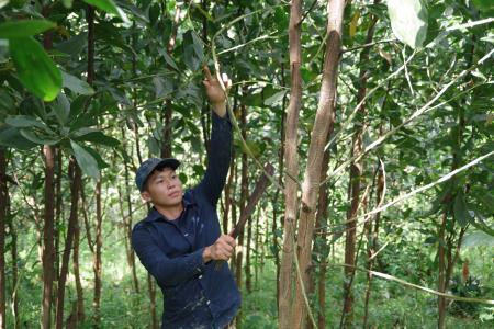Chuyện “khó tin” ở Nậm Xái