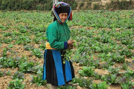 Lo cho tuổi già từ lúc còn trẻ như thế nào?