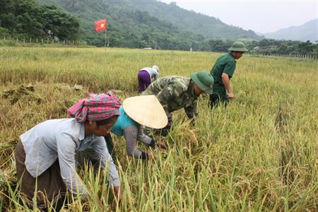 Giải bài toán lương thực giữa đại ngàn Trường Sơn