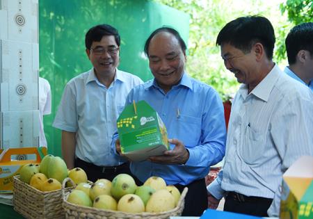 Cần quan tâm, tạo điều kiện để doanh nghiệp phát triển hơn nữa