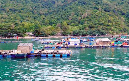 Đảo nhỏ "cất cánh" giữa trùng khơi