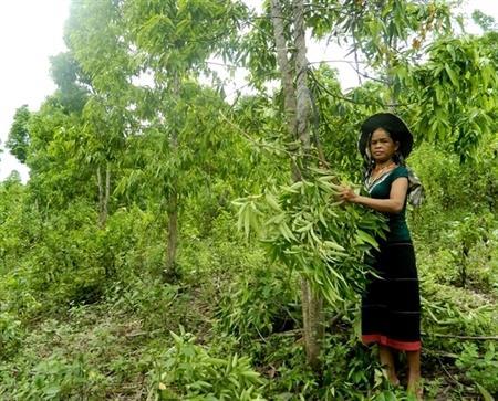 Hết lòng vì đồng đội, vững bước vươn lên trong cuộc sống