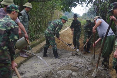 Sao xanh tô thắm đại ngàn