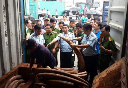 Lập chuyên án triệt phá các đường dây mua, bán động vật hoang dã