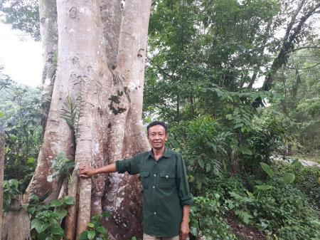 Cựu “lâm tặc” trở thành người bảo vệ rừng