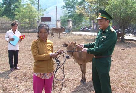 Kon Tum: Hỗ trợ bò giống cho 10 hộ gia đình khó khăn xã biên giới Đăk Long