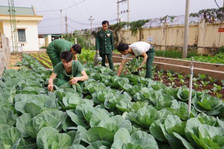 Sáng tạo trong thực hiện phong trào “Ngành Hậu cần Quân đội làm theo lời Bác Hồ dạy”