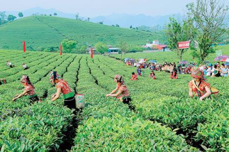Sơn La cần phát huy lợi thế vùng để phát triển
