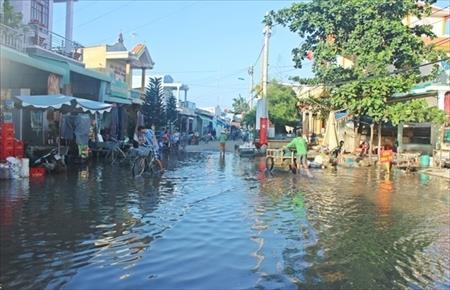 Trường kỳ chống đỡ với "nạn hồng thủy"