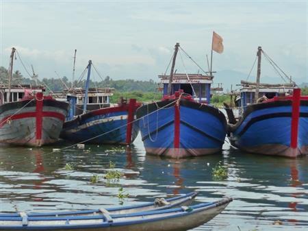 Khốn đốn vì nạn "giã cào bay"
