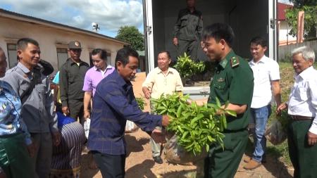 Tặng cây giống cho bản Densavan, Lào