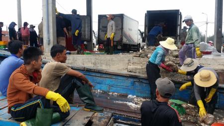 "Cá sạch" đánh bại dư luận xấu ở Quảng Ngãi
