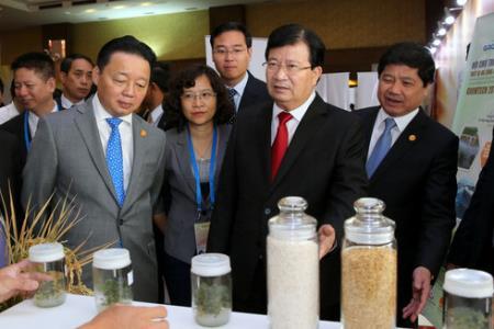 Đảm bảo an ninh lương thực là trách nhiệm chung của các thành viên APEC
