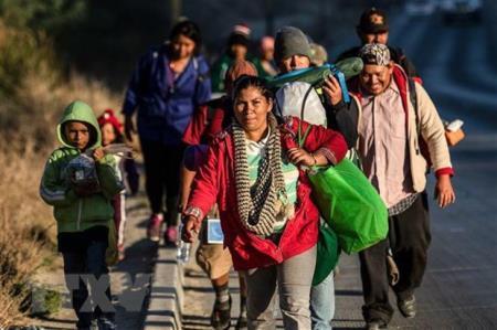 Tổng thống Mỹ cảnh báo sẵn sàng đóng cửa biên giới với Mexico