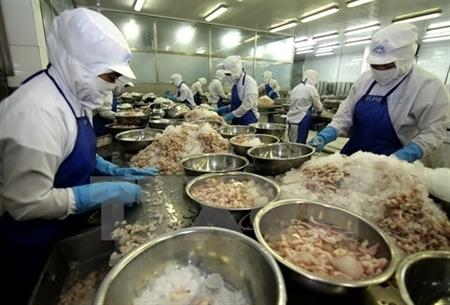 Bạc Liêu đầu tư hàng nghìn tỷ đồng khai thác tiềm năng kinh tế biển