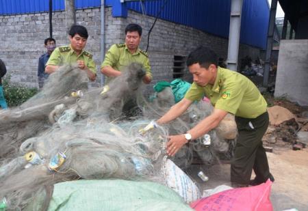 Móng Cái: Áp dụng biện pháp "rắn" dẹp nạn bẫy, bắt chim trời