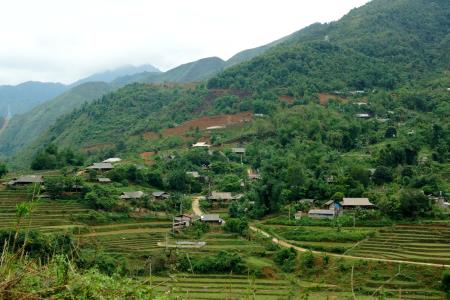 Tình yêu trên đỉnh ngàn mây