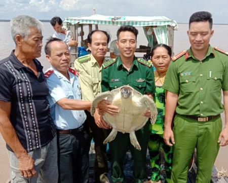 Thả cá thể Vích về môi trường tự nhiên