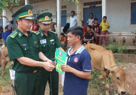 Trao tặng bò giống giúp người nghèo biên giới