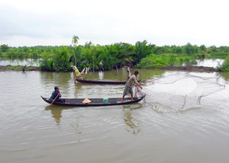Vườn quốc gia U Minh Hạ