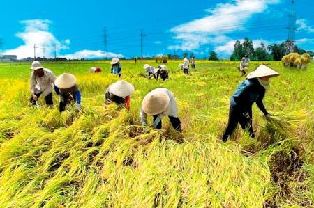 Báo chí thế giới đánh giá cao tăng trưởng của kinh tế Việt Nam