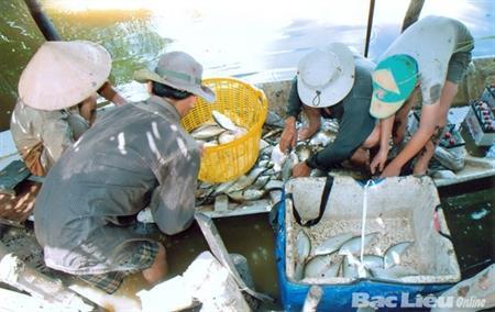 "Chắp cánh" để đồng bào Khmer thoát nghèo