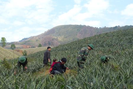 Đánh giá tích cực những thành tựu của Việt Nam trong bảo vệ, thúc đẩy quyền con người