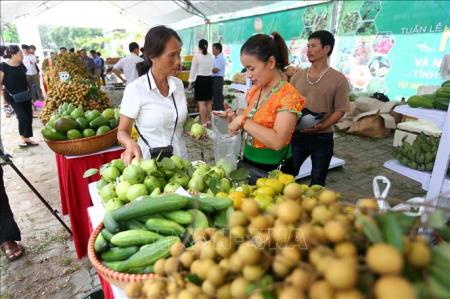 Gỡ khó cho nông sản