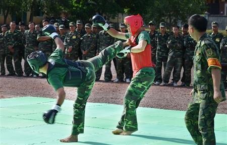 Hội thao võ thuật chiến đấu tay không
