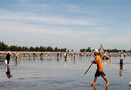 Nóng bỏng vùng nghêu