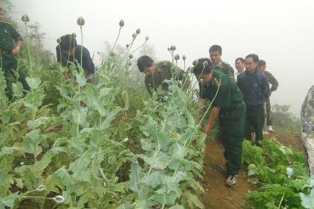 Để "loài hoa độc" không còn đất sống