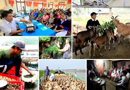 Triển khai hiệu quả các chương trình tín dụng chính sách xã hội