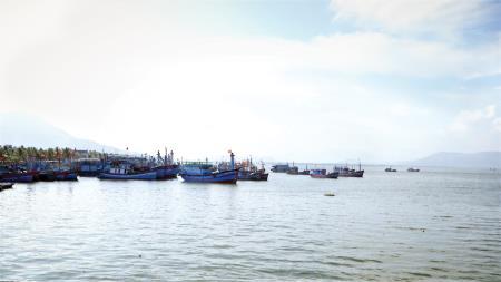 Làm giàu từ biển
