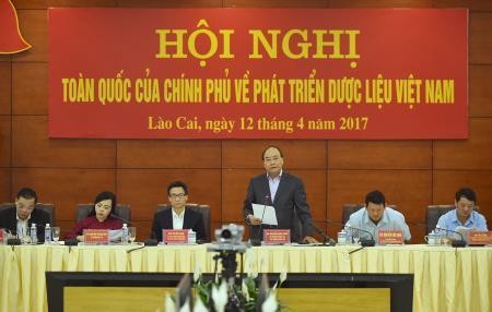 "Cần có chính sách đặc thù để phát triển cây dược liệu, công nghiệp dược liệu Việt Nam"