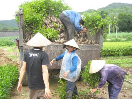Hướng đến phát triển lâm nghiệp bền vững