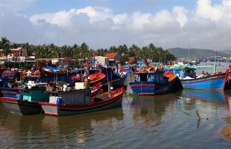 “Tín hiệu xanh” từ một vùng cửa biển