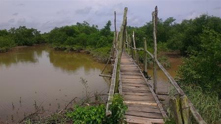Giữ màu xanh cho cồn Đen