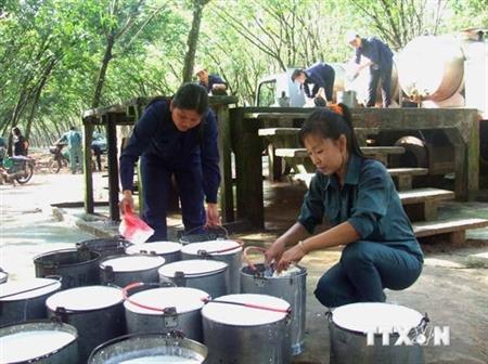 Xây dựng nông thôn mới không chạy theo thành tích