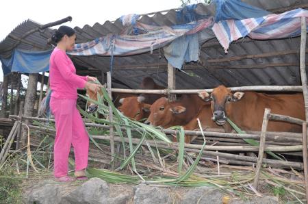 Đầu tư trọng điểm xóa thôn, bản đặc biệt khó khăn