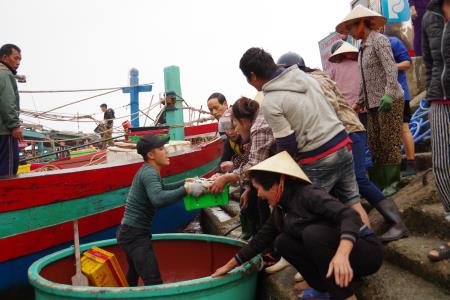 Niềm vui ở vùng tâm sự cố môi trường biển