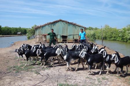 “Bà đỡ” của đồng bào Khmer nghèo