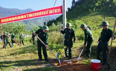 BĐBP các tỉnh, thành hưởng ứng “Tết trồng cây đời đời nhớ ơn Bác Hồ”