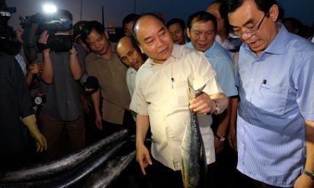 Tiếp tục hoàn thành việc bồi thường thiệt hại cho ngư dân 4 tỉnh miền Trung