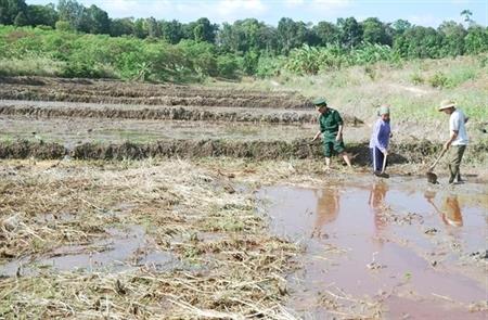 Thực trạng và giải pháp