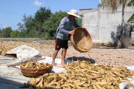 Hành tím, củ cải trắng giúp bà con Khmer thoát nghèo