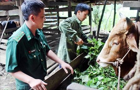 Làng Lỷ đi qua chênh chao