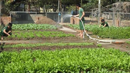quotỐc đảo xanhquot giữa vùng biên nắng cháy