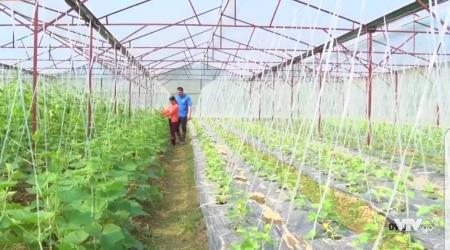 Bí thư Đoàn năng động của thanh niên Như Cố